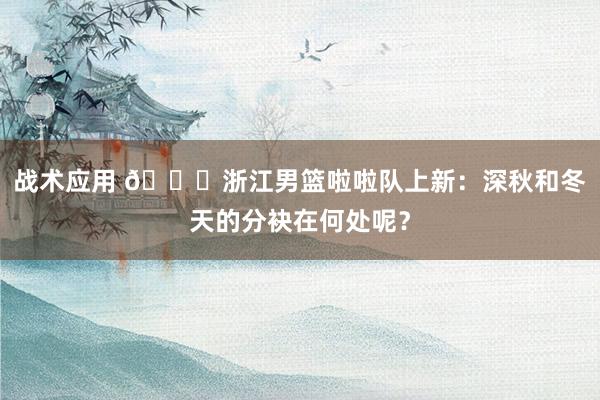 战术应用 😍浙江男篮啦啦队上新：深秋和冬天的分袂在何处呢？