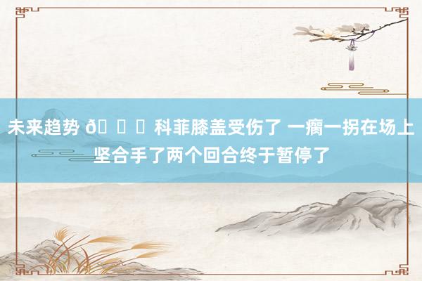 未来趋势 😐科菲膝盖受伤了 一瘸一拐在场上坚合手了两个回合终于暂停了