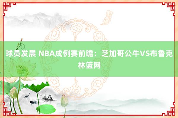 球员发展 NBA成例赛前瞻：芝加哥公牛VS布鲁克林篮网