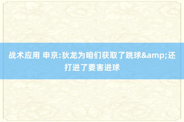 战术应用 申京:狄龙为咱们获取了跳球&还打进了要害进球