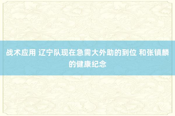 战术应用 辽宁队现在急需大外助的到位 和张镇麟的健康纪念