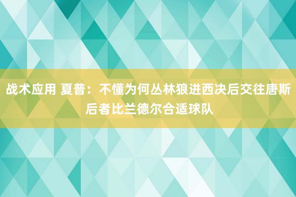 战术应用 夏普：不懂为何丛林狼进西决后交往唐斯 后者比兰德尔合适球队