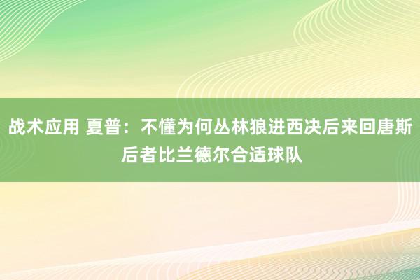 战术应用 夏普：不懂为何丛林狼进西决后来回唐斯 后者比兰德尔合适球队