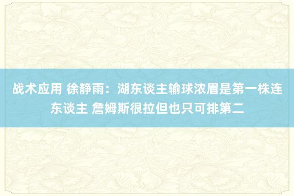 战术应用 徐静雨：湖东谈主输球浓眉是第一株连东谈主 詹姆斯很拉但也只可排第二