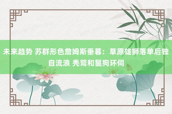 未来趋势 苏群形色詹姆斯垂暮：草原雄狮落单后独自流浪 秃鹫和鬣狗环伺