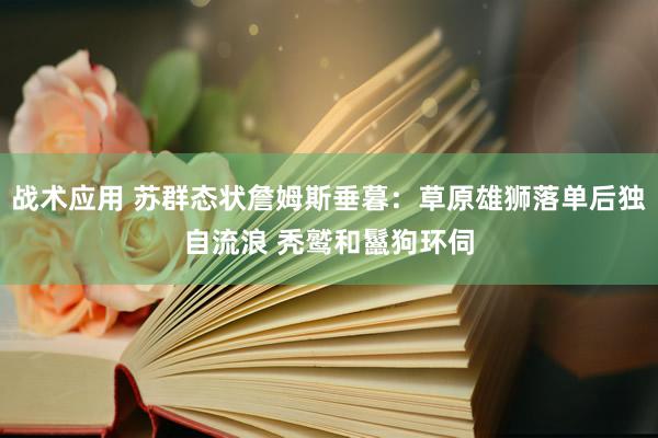 战术应用 苏群态状詹姆斯垂暮：草原雄狮落单后独自流浪 秃鹫和鬣狗环伺