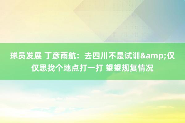 球员发展 丁彦雨航：去四川不是试训&仅仅思找个地点打一打 望望规复情况