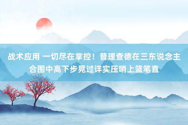 战术应用 一切尽在掌控！普理查德在三东说念主合围中高下步晃过详实压哨上篮笔直