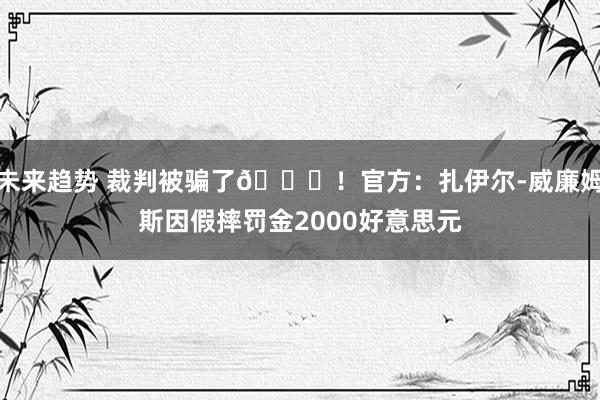 未来趋势 裁判被骗了😅！官方：扎伊尔-威廉姆斯因假摔罚金2000好意思元