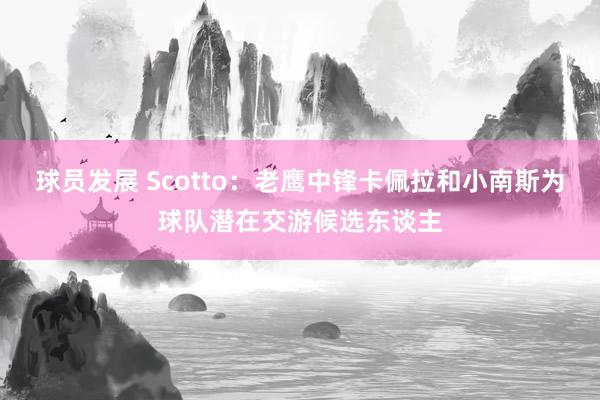 球员发展 Scotto：老鹰中锋卡佩拉和小南斯为球队潜在交游候选东谈主